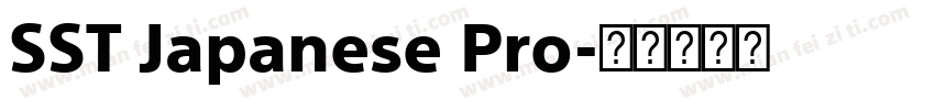 SST Japanese Pro字体转换